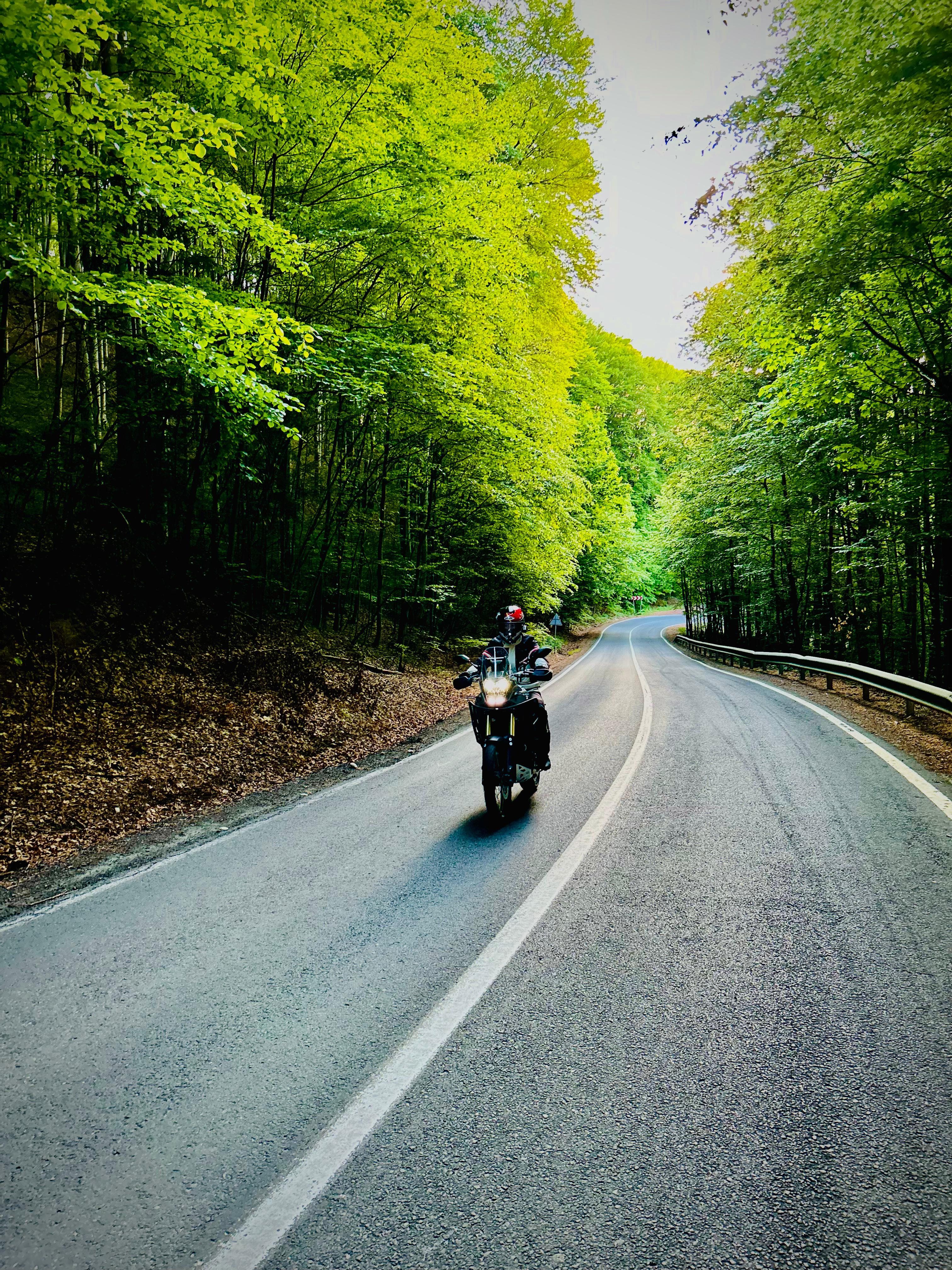 moto